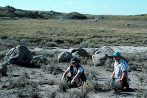 Figure 1 - "Indian Mounds" exposing the fossil-bearing Pierre Shale.